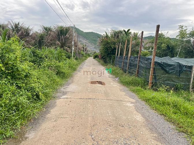 Hình ảnh Đất mặt tiền Liên Thôn, Diên Sơn, cách đường Đồng Khởi chỉ 500m