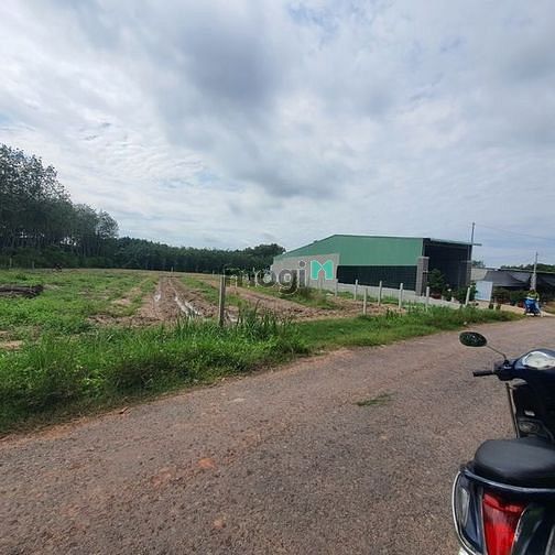 Hình ảnh BÁN GIÚP NGƯỜI THÂN đất Phước Thạnh Gò Dầu 215m²