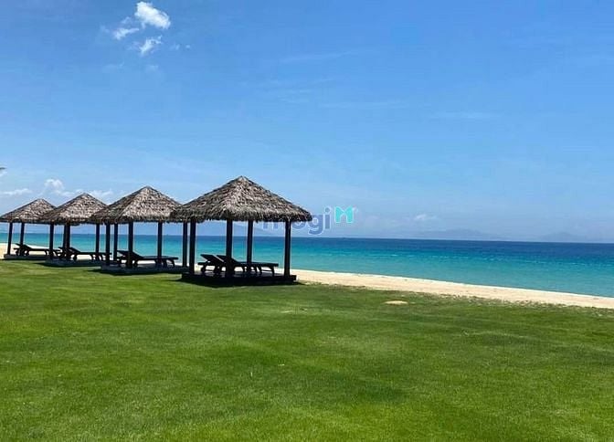 Hình ảnh Cam ranh - đích đến hạ cánh cho 