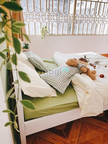 Hình ảnh Cho thuê Trang Chủ MB66.COM / Đăng Ký Tặng 66K 2PN Q5 có nội thất có cửa sổ gần Quận 1, Phố đi bộ