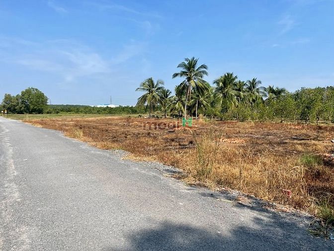 Hình ảnh Sát Trường Học Cây Da CÓ HÀNG NÓNG chỉ 352tr 393m2 shr