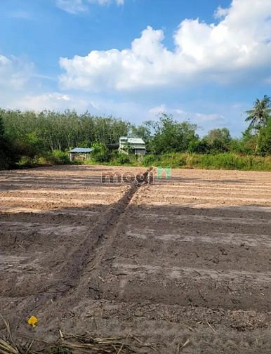 Hình ảnh BỂ NỢ BÁN ĐẤT TC Long Hoà, Long Khánh, Bến Cầu 128m² giá 499tr