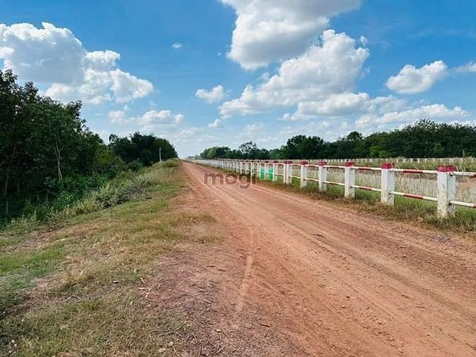 Hình ảnh BÁN ĐẤT KHU SẦM UẤT Trà Vong Tân Biên Tây Ninh 390m²
