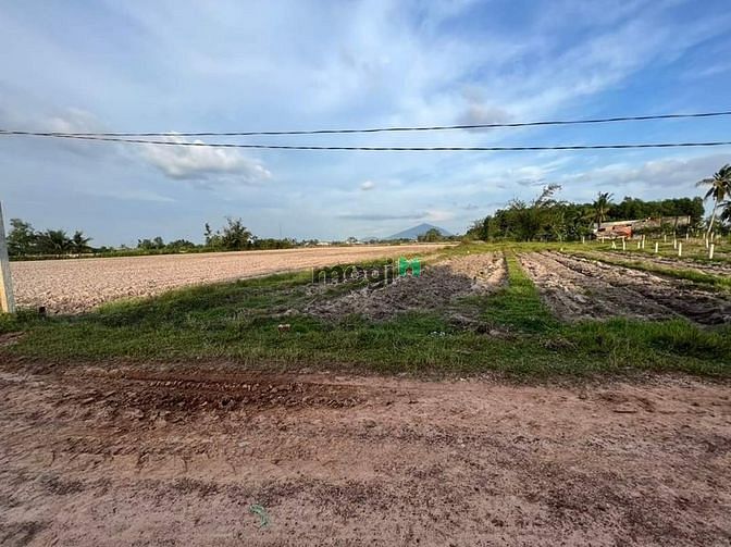 Hình ảnh 🏜️Đất đẹp giá đẹp Thái Bình, Châu Thành  ❌Hết đất chỉ 260tr❌❌ - Cách