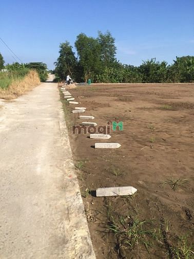Hình ảnh Mua nhanh gọn đất An tịnh - Trảng Bàng hơn 200m2 full thổ còn 289tr