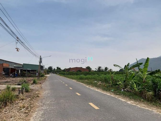 Hình ảnh Đất thạnh tân tp.tây ninh Mt nhựa khu dân cư,cách chợ thạnh tân 200m