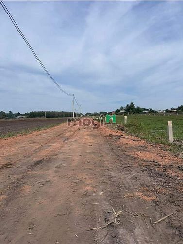 Hình ảnh THANH LÝ ĐẤT Tân Hà, Tân Châu ,H Tân Châu Tây Ninh 160m² giá 385tr SHR