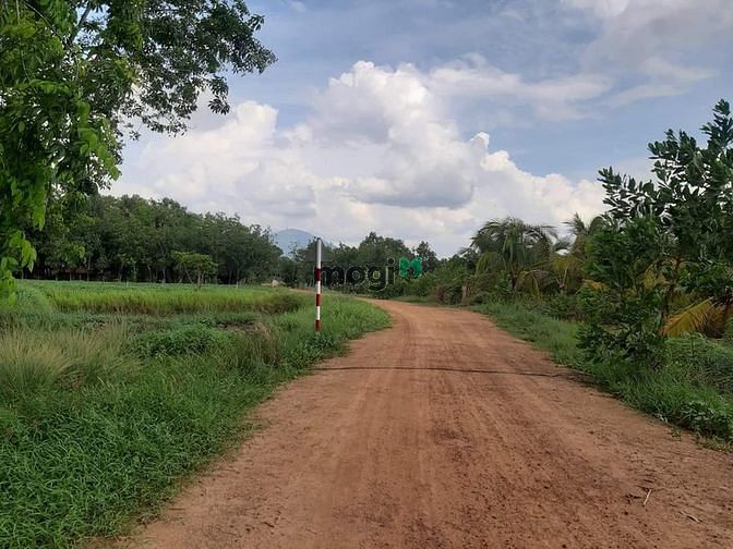 Hình ảnh Bán gấp miếng đất Trà Vong, Tân Biên, Tây Ninh chỉ 515tr sổ hồng riêng
