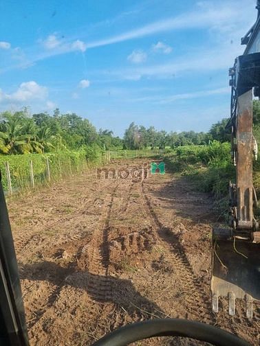 Hình ảnh Đất thổ cư 381m2 Thị xã Trảng Bàng