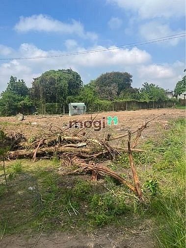 Hình ảnh BÁN GẤP ĐẤT THỔ CƯ Lê Duẩn, Tân Hưng, Tân Châu 145m² giá 370tr