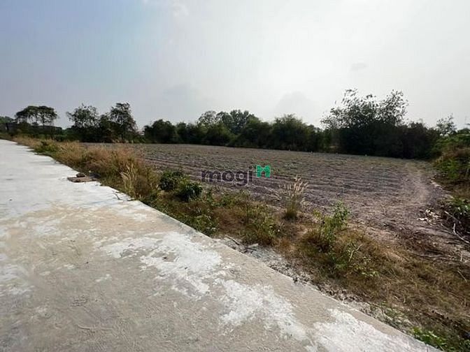 Hình ảnh Cần bán lô đất thổ cư khu phố 3, tt Bến Cầu 235m giá 710tr