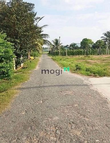 Hình ảnh CẮT LỖ LÔ ĐẤT Suối Dây Tân Châu Tây Ninh 520tr full thổ cư 225m2.