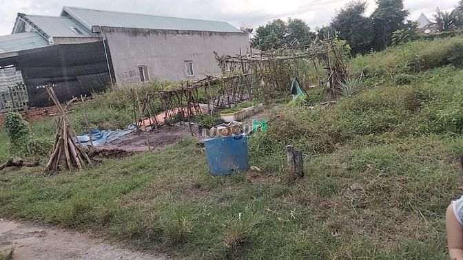 Hình ảnh Khu công nghiệp Linh Trung 3, 3 phút Củ Chi
