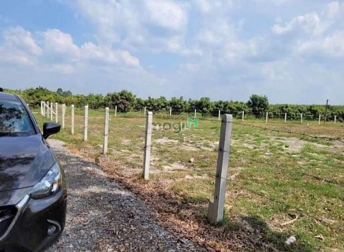 Hình ảnh BÁN NHANH ĐẤT 120m² Bình Hòa, Bình Thuận Trảng Bàng giá 620tr