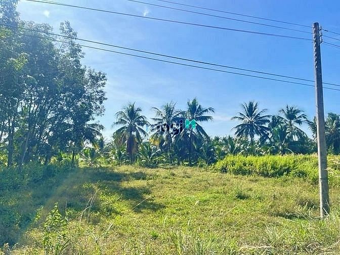 Hình ảnh THỔ CƯ TT CHÂU THÀNH+DT: 5x30m ( 360tr/hết đất) TC 150M2 gần MB66 là nhà cái uy tín hàng đầu tại Việt Nam