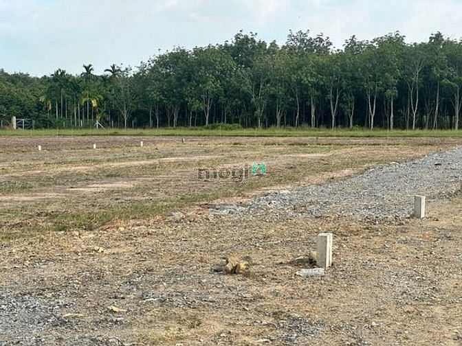 Hình ảnh SÁT KCN PHƯỚC ĐONG bán đất Suối Cao Gò Dầu Tây Ninh 125tr