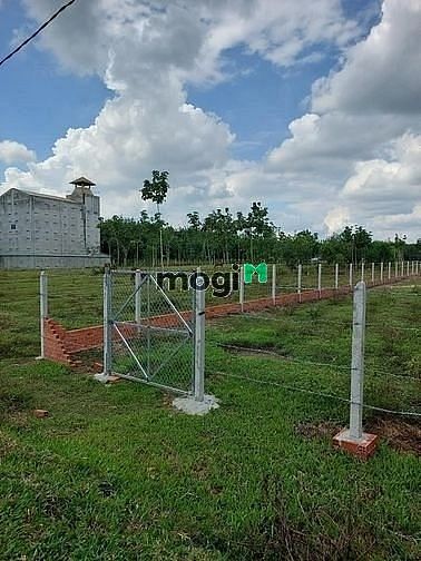 Hình ảnh SHR 147,55m2 Thổ cư Chỉ 385tr Ở ThÁI Bình Châu Thành, Tây Ninh