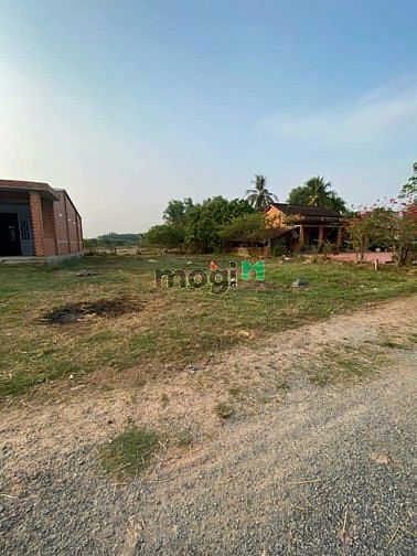 Hình ảnh FULL THỔ CƯ đất Phước Thạnh, Gò Dầu, 200m2, 499 triệu