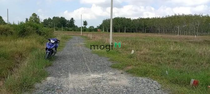 Hình ảnh BÁN MÀ TIẾC Trần Văn Trà, TP.Tây Ninh, 100m2 full thổ cư