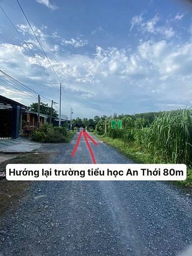Hình ảnh ĐẤT NGỘP bán gấp An Tịnh Trảng Bàng Tây Ninh 350m²