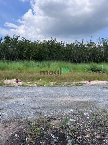 Hình ảnh 💥5 x 33 FULL THỔ CƯ, SÁT KCN THẠNH ĐỨC, GIÁ CHỈ 505Tr shr LH:Lê Nhung