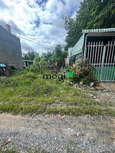 Hình ảnh Tân Biên, Tây Ninh 🌻 Ccg lô đất 🌻 Dt Tổng là 120m2 có 50m2 thổ cư