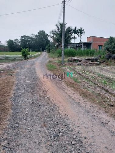 Hình ảnh BÁN ĐẤT GIÁ RẺ Chà Là, DMC, 260tr,140m2 full thổ cư