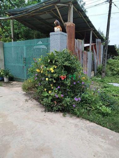 Hình ảnh Giảm giá mạnh bán gấp đất x.Bình Minh Tp.Tây Ninh giá chỉ 720tr/987m2