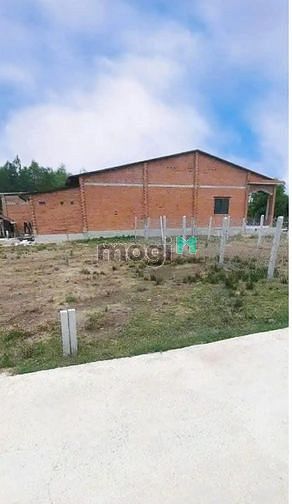 Hình ảnh MUA NGAY ĐẤT SHR Đá Hàng, Phước Trạch, Gò Dầu 133m² giá 665tr