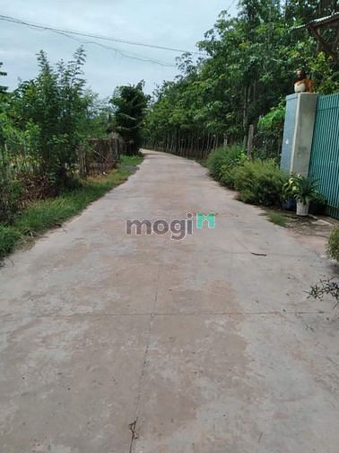 Hình ảnh Giảm giá mạnh bán gấp đất x.Bình Minh Tp.Tây Ninh giá chỉ 720tr/987m2
