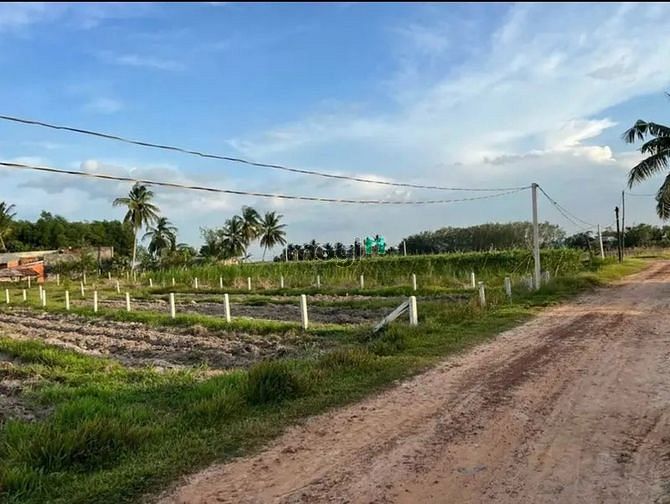 Hình ảnh Bán đất Tây Ninh giá rẻ chỉ 285 triệu lô đất 240m2 thổ cư 100m2.