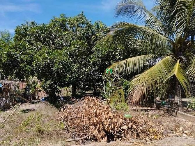 Hình ảnh Đất ngộp bán gấp Full thổ cư Thạnh Bình, Tân Biên giá chỉ 480triệu shr