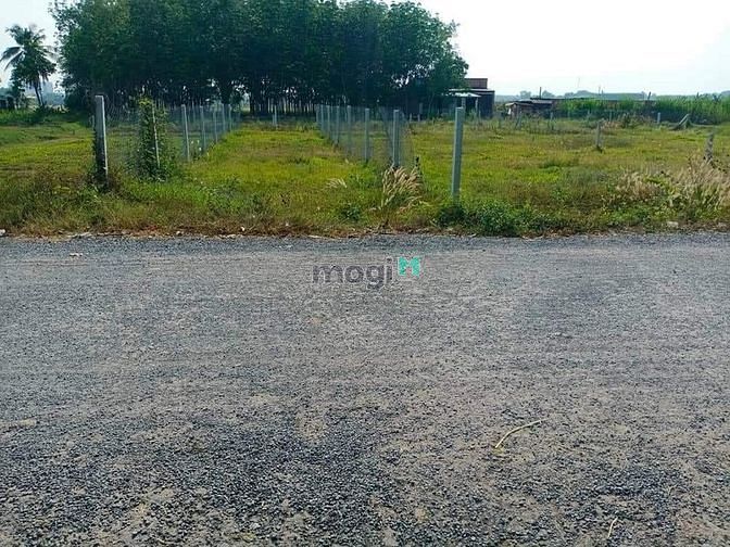 Hình ảnh GIÁ YÊU THƯƠNG bán đất Ấp Rộc A Gò Dầu Tây Ninh 470tr