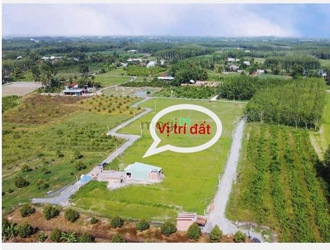 Hình ảnh ĐẤT THỔ AN CƯ bán đất Cây Da Hiệp Thạnh Gò Dầu 120m²