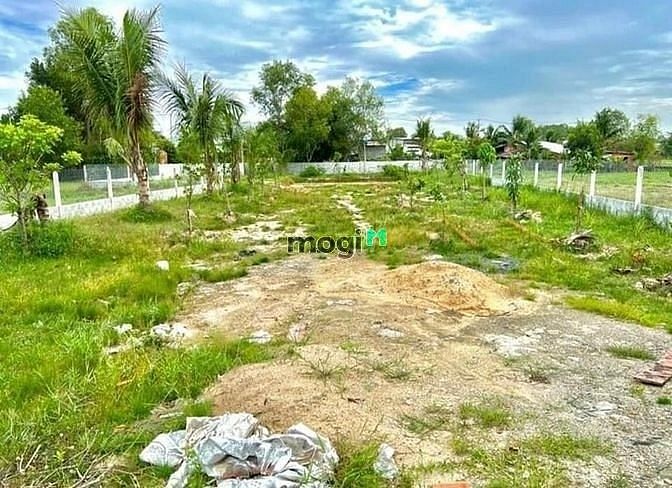 Hình ảnh NGỘP THỞ BÁN ĐẤT Bàu Đồn, Gò Dầu, 130m2, 470m2, SHr