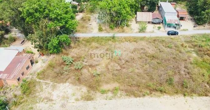 Hình ảnh BÁN NHANH ĐẤT Bến Chò, Phước Thạnh, Gò Dầu 143m² giá 735tr