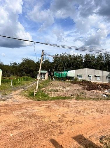Hình ảnh Đất Thạnh Hoà , Thạnh Bình Tân Biên DT : 7m x 34m FULL thổ cư LH:Nhung