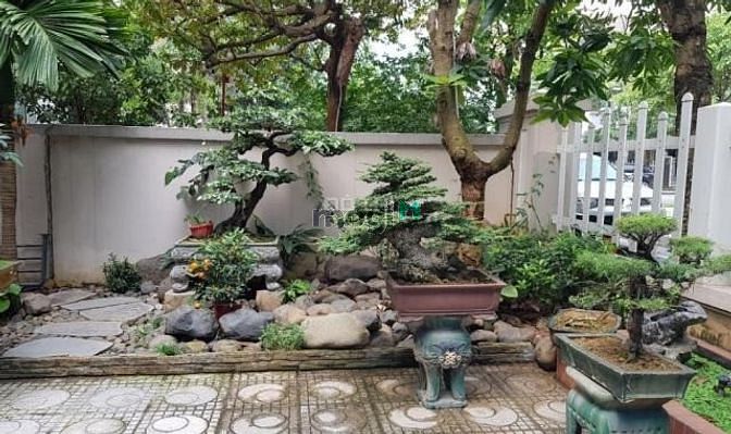 Hình ảnh Cho thuê biệt thự mặt phố Thụy Khuê, mặt tiền 8m