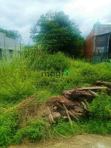 Hình ảnh [CHÂU THÀNH] BÁN GẤP ĐẤT CMT8 P.1 TP.Tây Ninh giá chỉ 210tr/dt:6×23m