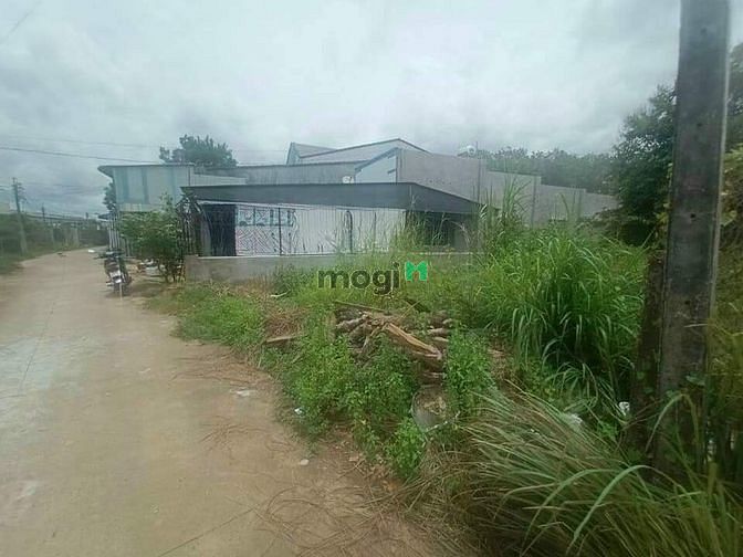 Hình ảnh [CHÂU THÀNH] BÁN GẤP ĐẤT CMT8 P.1 TP.Tây Ninh giá chỉ 210tr/dt:6×23m