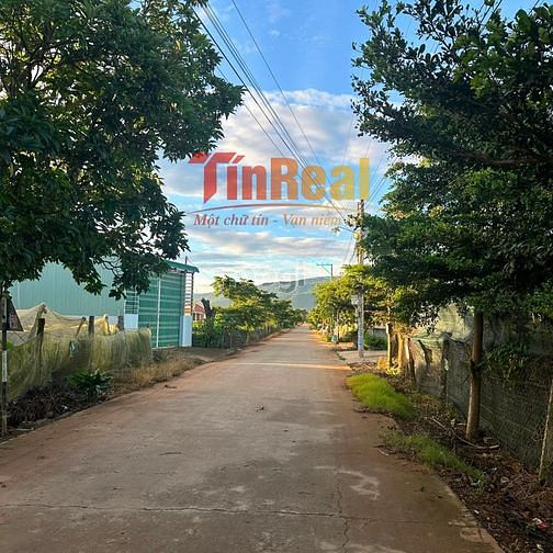 Hình ảnh Bùng nổ giao dịch đất nền Ka Đô - ven Đà Lạt. Chỉ 800 triệu/ nền