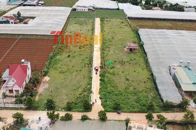 Hình ảnh Bùng nổ giao dịch đất nền Ka Đô - ven Đà Lạt. Chỉ 800 triệu/ nền