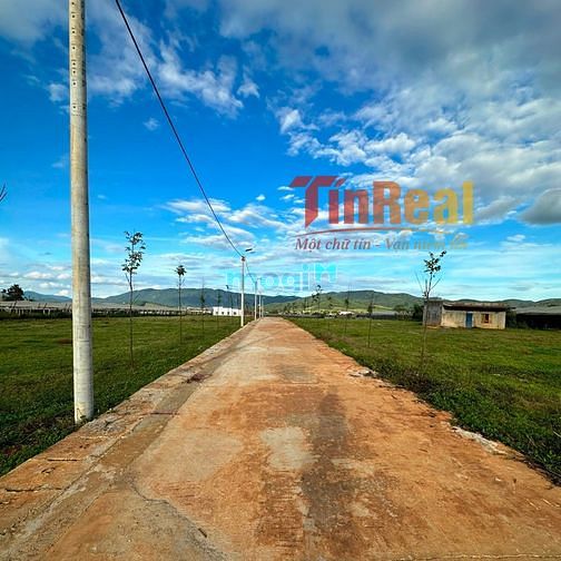 Hình ảnh Bùng nổ giao dịch đất nền Ka Đô - ven Đà Lạt. Chỉ 800 triệu/ nền