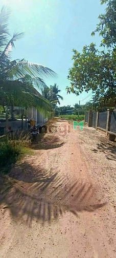 Hình ảnh Bán cắt lỗ Đất xã Tân Phong - Tân Biên 260tr hết đất 5x35m full thổ cư