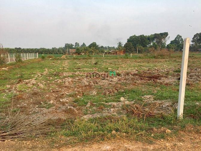 Hình ảnh ĐẤT SẠCH ĐÔNG DÂN CƯ Phước Hòa Phước Thạnh Gò Dầu 195m²