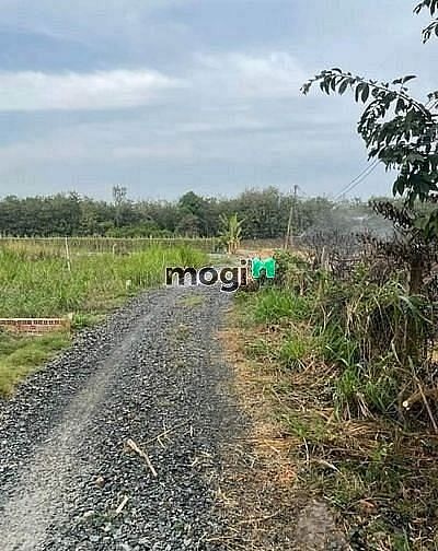 Hình ảnh MUA NHANH BÁN LẸ ĐẤT Long Hoà, H. Bến Cầu giá 650tr SHR