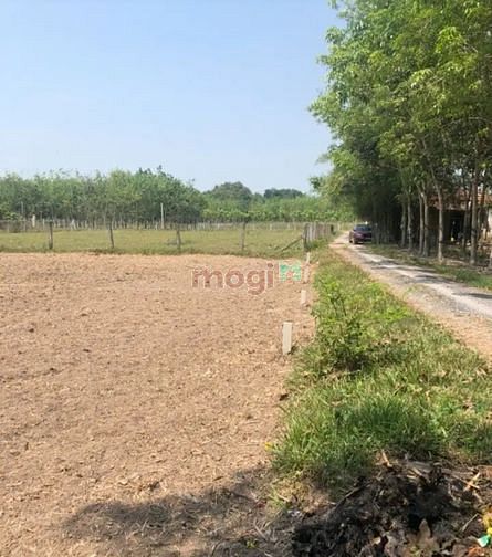 Hình ảnh BÁN GẤP ĐẤT 139m² TC Dương Văn Nốt, Thạnh Đức, Gò Dầu giá 550tr