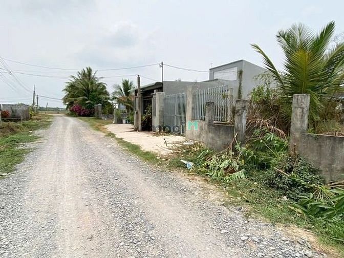 Hình ảnh XẢ KHO CUỐI NĂM bán đất Bạch Đằng Bình Thạnh Trảng Bàng 97m²