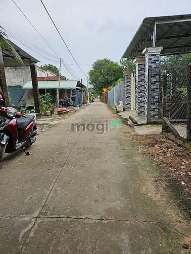 Hình ảnh NHỨT CÁI ĐẦU bán đất Hội Phú Tân Hòa Tân Châu 450tr