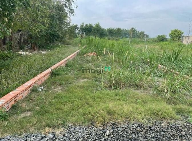 Hình ảnh SỞ HỮU NGAY ĐẤT 184m² SHR Phạm Hùng, Tân Hiệp, Tân Châu giá 899tr